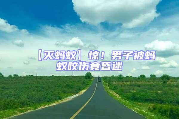 【滅螞蟻】驚！男子被螞蟻咬傷竟昏迷
