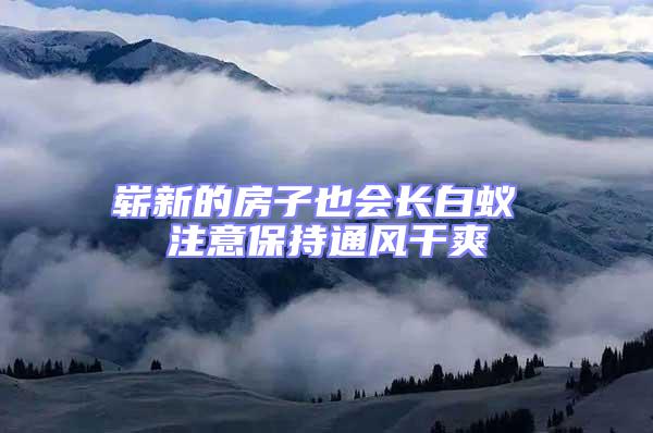 嶄新的房子也會長白蟻 注意保持通風(fēng)干爽