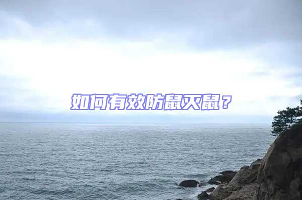 如何有效防鼠滅鼠？