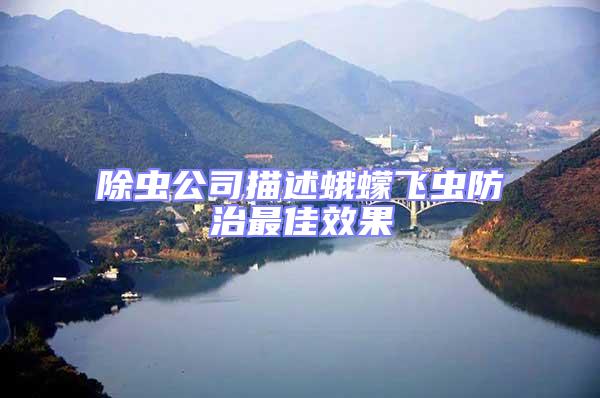 除蟲(chóng)公司描述蛾蠓飛蟲(chóng)防治最佳效果