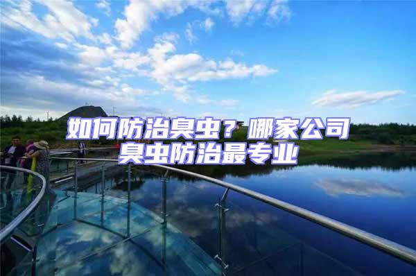 如何防治臭蟲？哪家公司臭蟲防治最專業