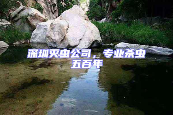 深圳滅蟲公司，專業殺蟲五百年
