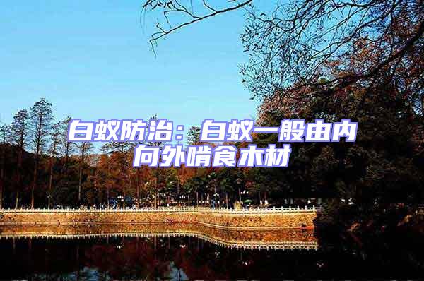 白蟻防治：白蟻一般由內(nèi)向外啃食木材