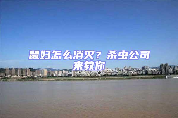 鼠婦怎么消滅？殺蟲(chóng)公司來(lái)教你