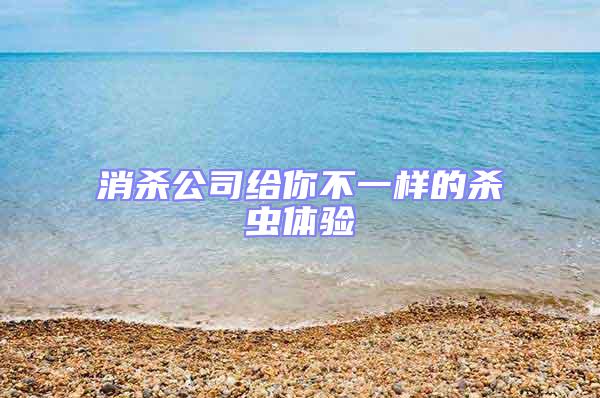 消殺公司給你不一樣的殺蟲體驗(yàn)