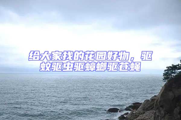給大家找的花園好物，驅(qū)蚊驅(qū)蟲驅(qū)蟑螂驅(qū)蒼蠅
