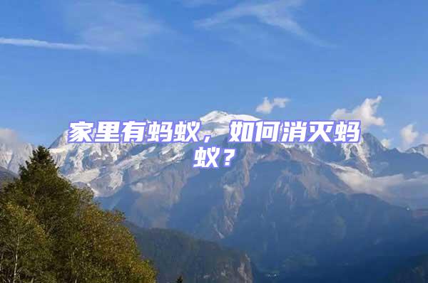 家里有螞蟻，如何消滅螞蟻？