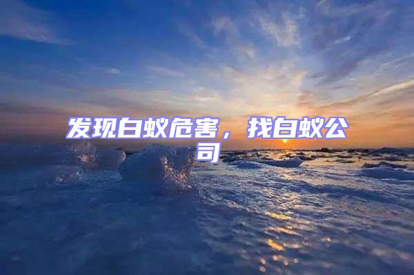 發現白蟻危害，找白蟻公司
