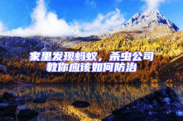 家里發現螞蟻，殺蟲公司教你應該如何防治