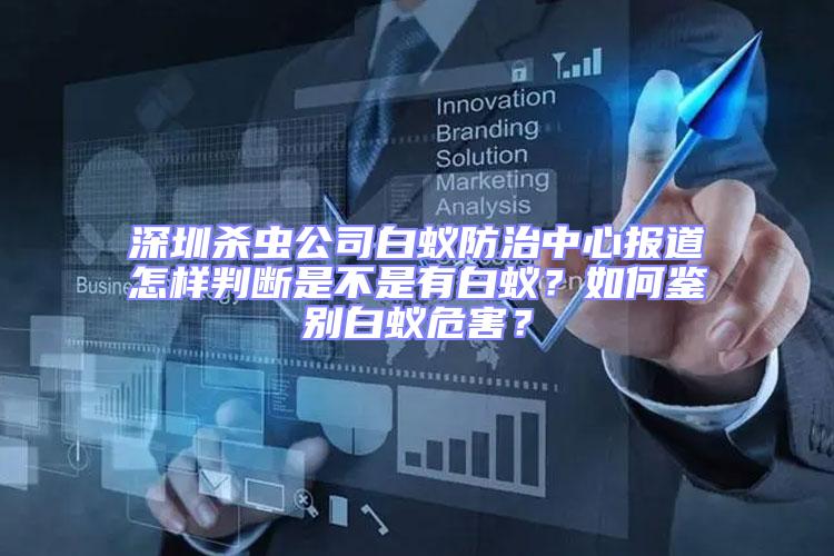 深圳殺蟲(chóng)公司白蟻防治中心報(bào)道怎樣判斷是不是有白蟻？如何鑒別白蟻危害？