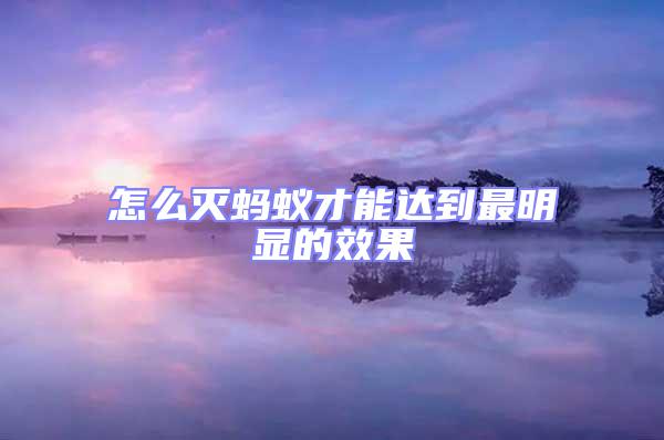 怎么滅螞蟻才能達(dá)到最明顯的效果
