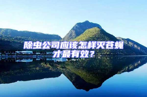 除蟲公司應該怎樣滅蒼蠅才最有效？