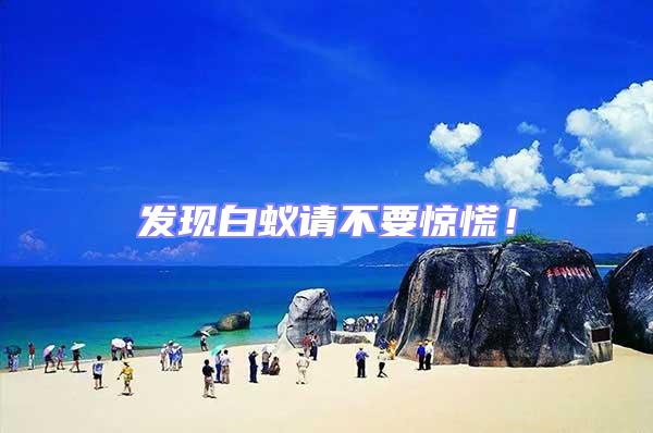 發(fā)現(xiàn)白蟻請(qǐng)不要驚慌！