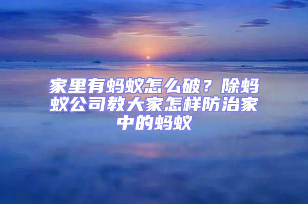 家里有螞蟻怎么破？除螞蟻公司教大家怎樣防治家中的螞蟻