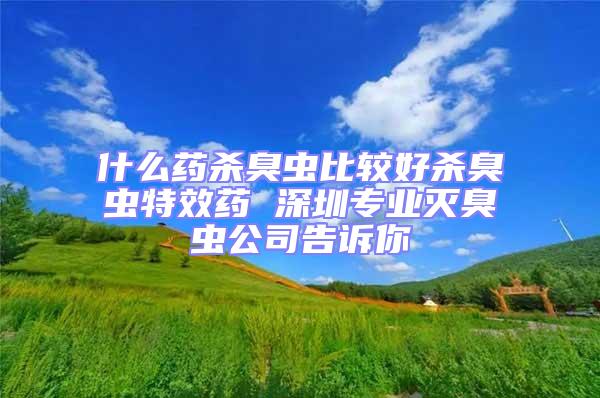 什么藥殺臭蟲(chóng)比較好殺臭蟲(chóng)特效藥 深圳專(zhuān)業(yè)滅臭蟲(chóng)公司告訴你
