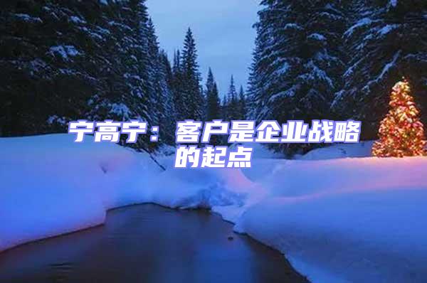 寧高寧：客戶是企業戰略的起點