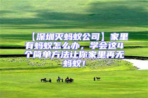 【深圳滅螞蟻公司】家里有螞蟻怎么辦，學(xué)會(huì)這4個(gè)簡(jiǎn)單方法讓你家里再無(wú)螞蟻！