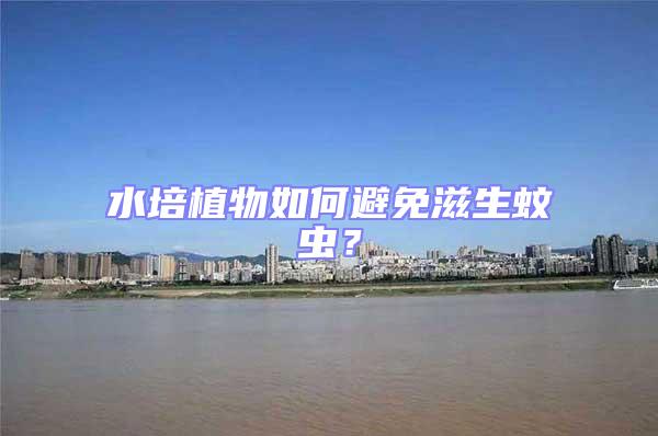 水培植物如何避免滋生蚊蟲？