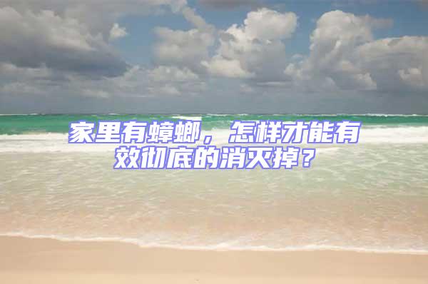 家里有蟑螂，怎樣才能有效徹底的消滅掉？
