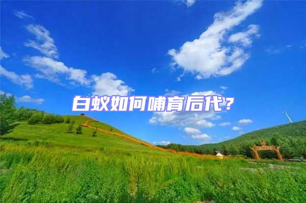 白蟻如何哺育后代？