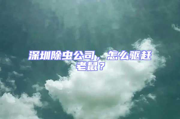 深圳除蟲公司，怎么驅趕老鼠？