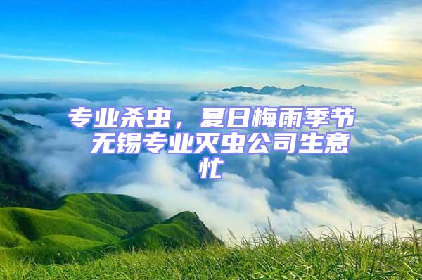 專業(yè)殺蟲(chóng)，夏日梅雨季節(jié) 無(wú)錫專業(yè)滅蟲(chóng)公司生意忙