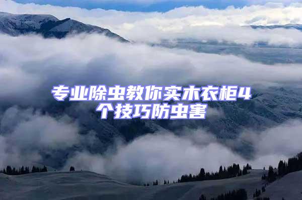 專業(yè)除蟲(chóng)教你實(shí)木衣柜4個(gè)技巧防蟲(chóng)害