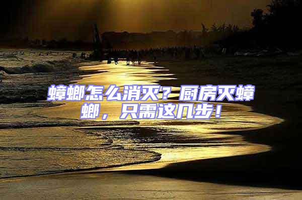 蟑螂怎么消滅？廚房滅蟑螂，只需這幾步！