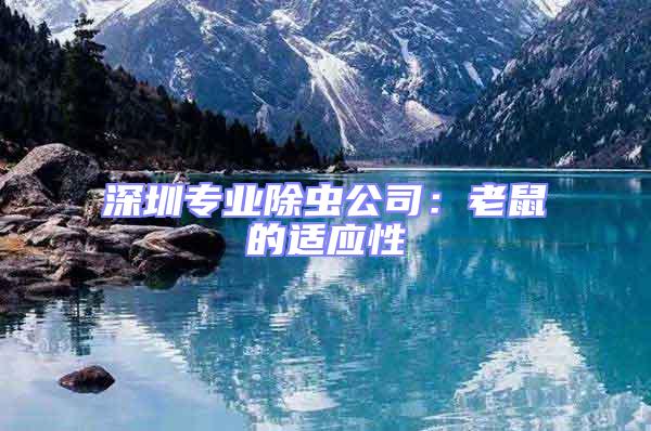 深圳專業除蟲公司：老鼠的適應性