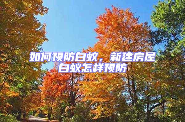 如何預(yù)防白蟻，新建房屋白蟻怎樣預(yù)防