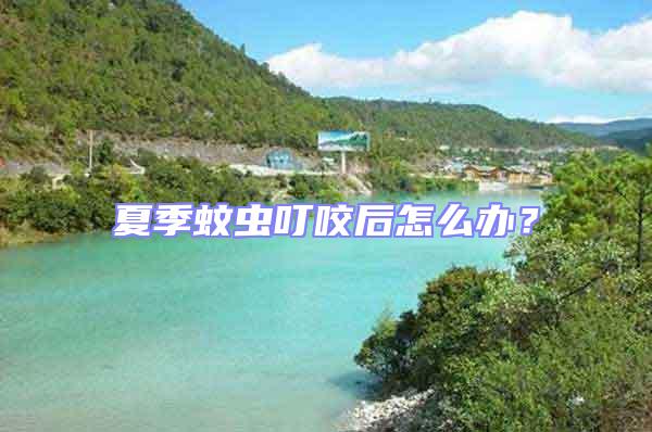 夏季蚊蟲叮咬后怎么辦？