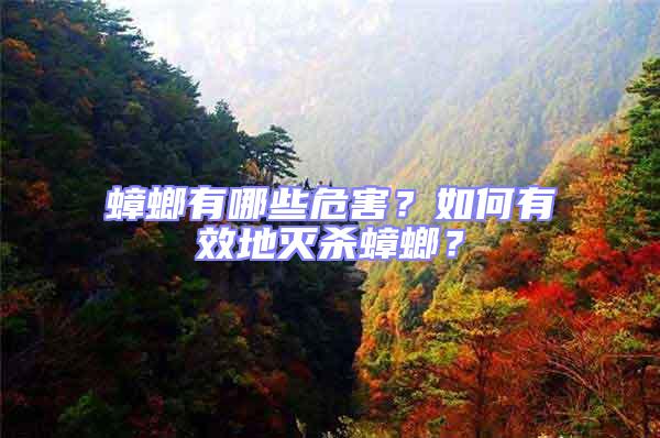 蟑螂有哪些危害？如何有效地滅殺蟑螂？