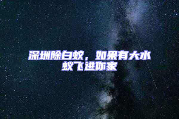 深圳除白蟻，如果有大水蟻飛進你家