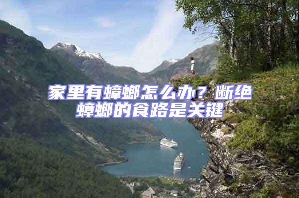 家里有蟑螂怎么辦？斷絕蟑螂的食路是關(guān)鍵