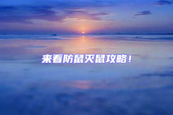 來(lái)看防鼠滅鼠攻略！