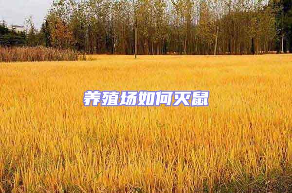 養殖場如何滅鼠