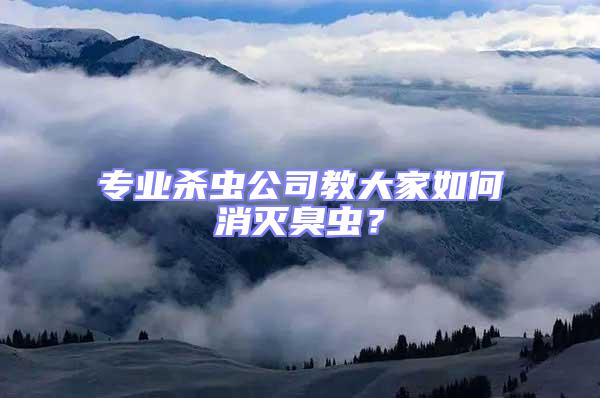 專業殺蟲公司教大家如何消滅臭蟲？