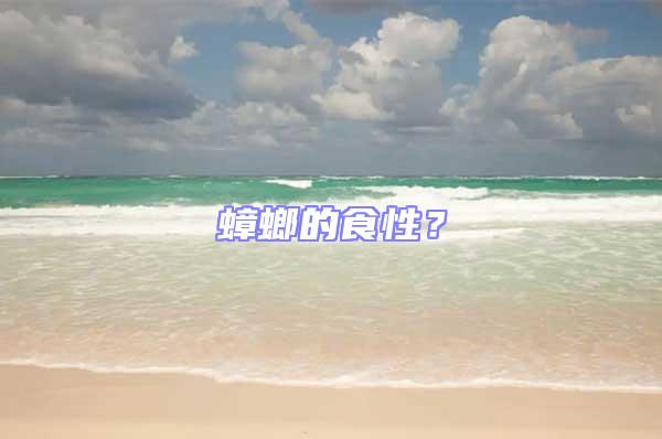 蟑螂的食性？