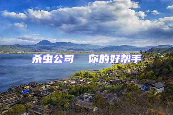 殺蟲(chóng)公司  你的好幫手