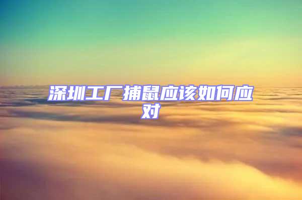 深圳工廠捕鼠應(yīng)該如何應(yīng)對(duì)