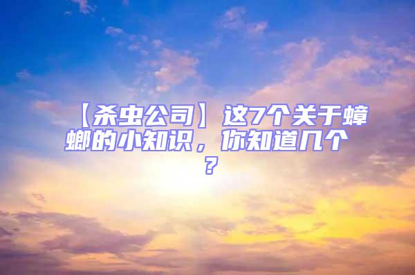 【殺蟲公司】這7個關于蟑螂的小知識，你知道幾個？