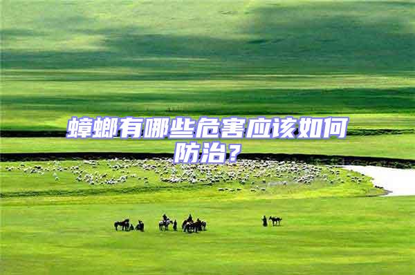 蟑螂有哪些危害應(yīng)該如何防治？