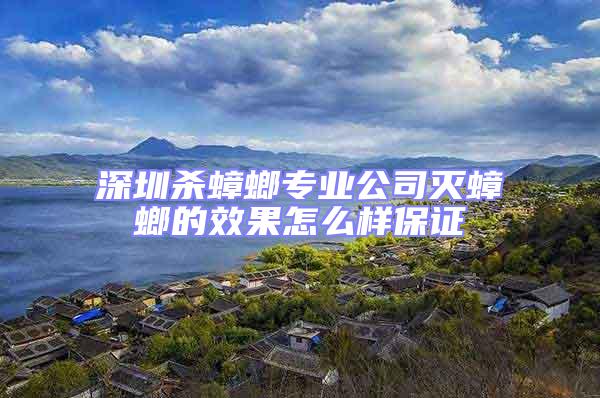 深圳殺蟑螂專業(yè)公司滅蟑螂的效果怎么樣保證