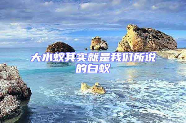 大水蟻其實(shí)就是我們所說(shuō)的白蟻