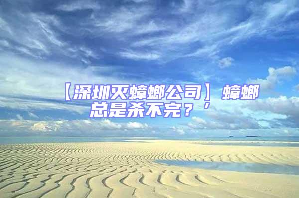 【深圳滅蟑螂公司】蟑螂總是殺不完？’