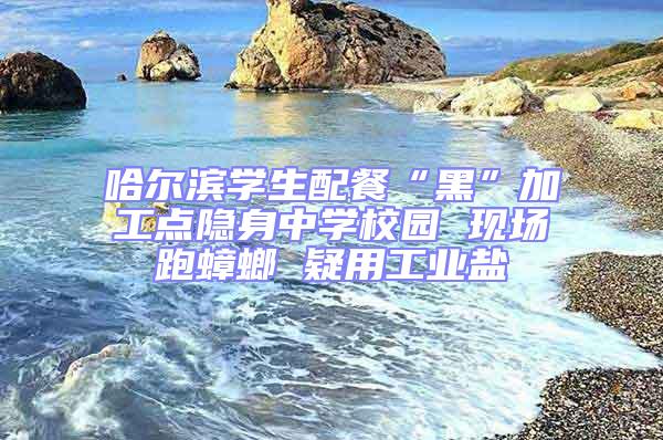 哈爾濱學(xué)生配餐“黑”加工點隱身中學(xué)校園 現(xiàn)場跑蟑螂 疑用工業(yè)鹽