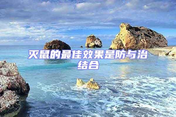 滅鼠的最佳效果是防與治結(jié)合