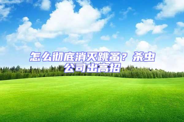 怎么徹底消滅跳蚤？殺蟲(chóng)公司出高招