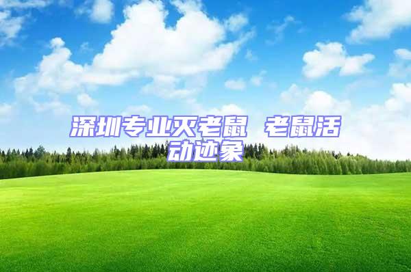 深圳專業滅老鼠 老鼠活動跡象