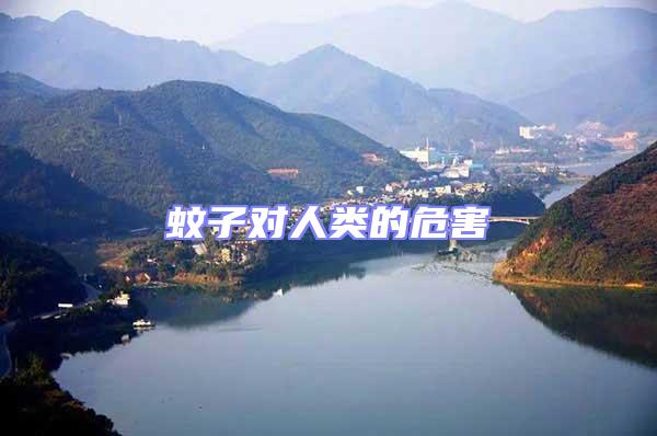 蚊子對(duì)人類的危害